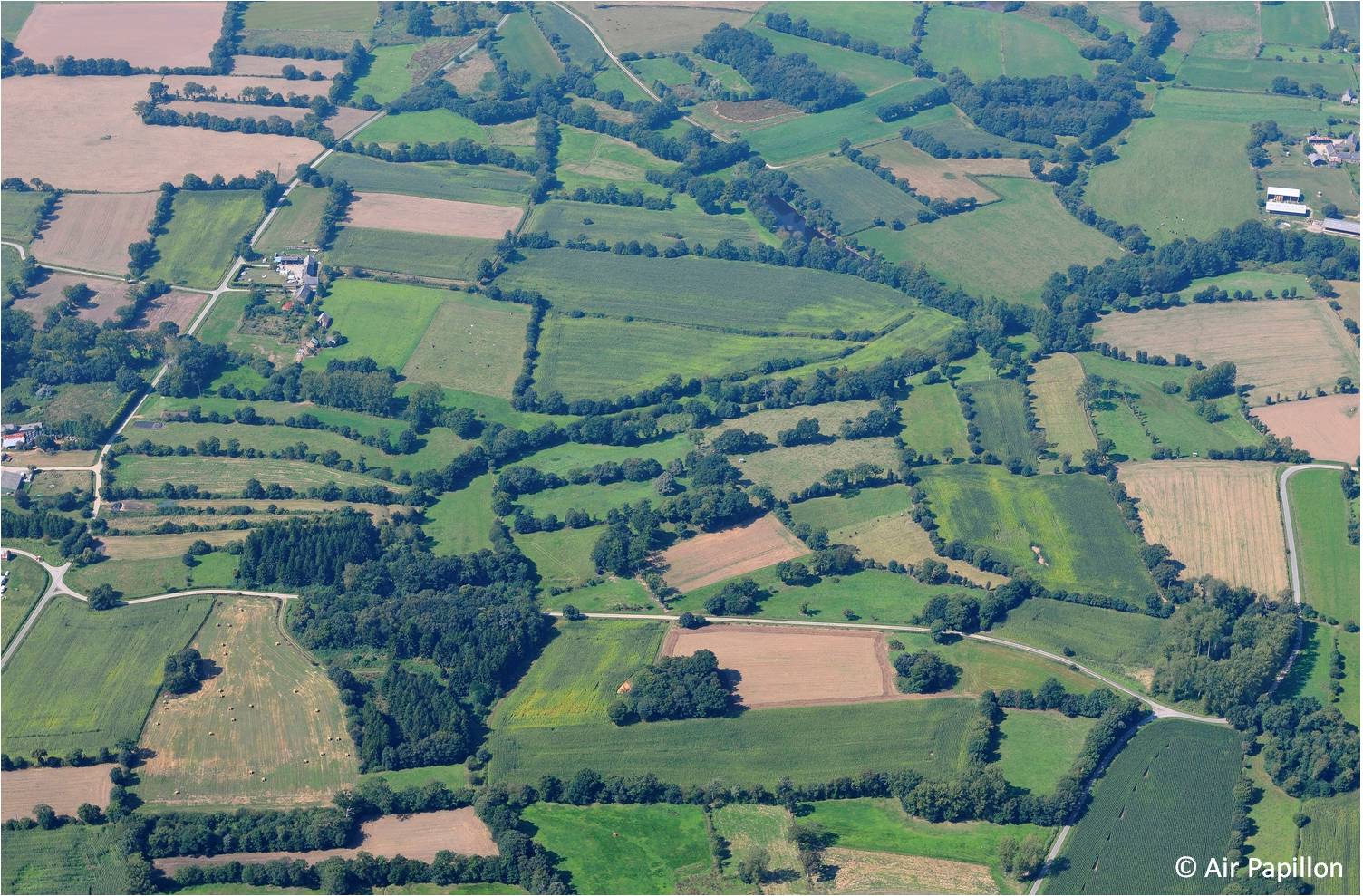 PARCELLE à TORI BOSSITO
